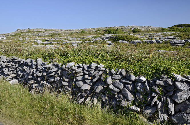 Wall - smaller format