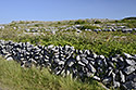 Zdka - hlavn odkaz