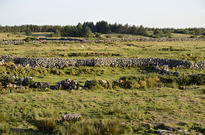 Irish walls - smaller format