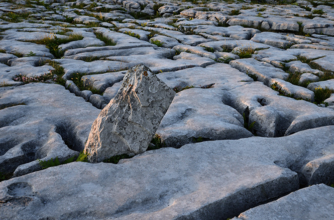 Near the dolmen - smaller format