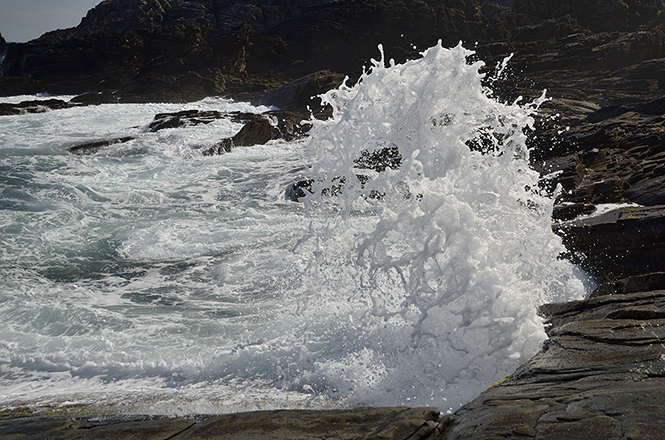 Splash! - smaller format