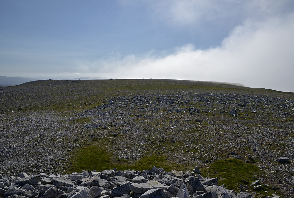On plateau - larger format