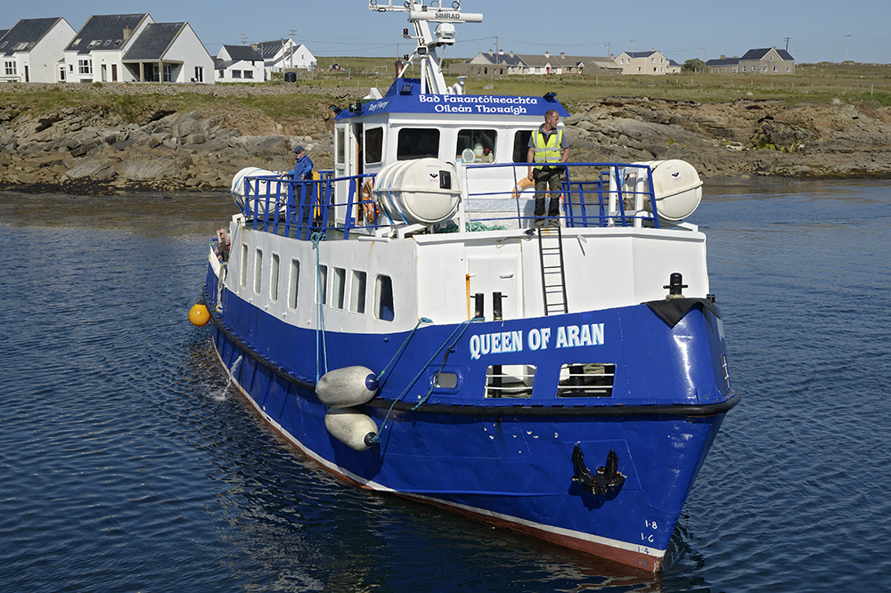 Tory Ferry - larger format