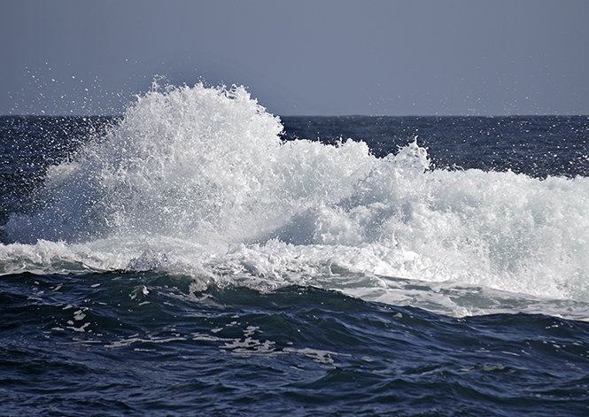 Splash! - smaller format