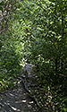 Path into the gorge - main link