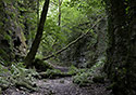 Gorge - main link