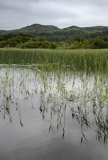 Lough Gill - men formt