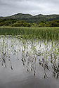 Lough Gill - hlavn odkaz