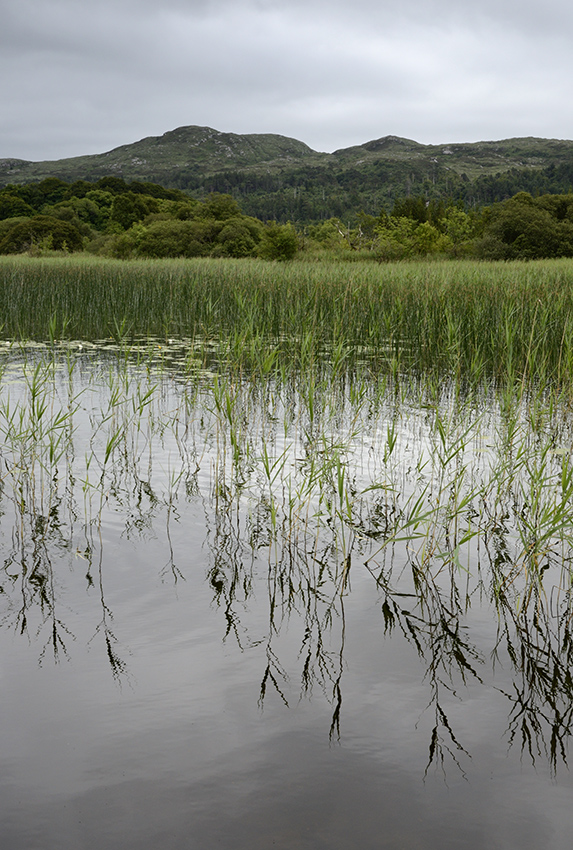 Lough Gill - vt formt