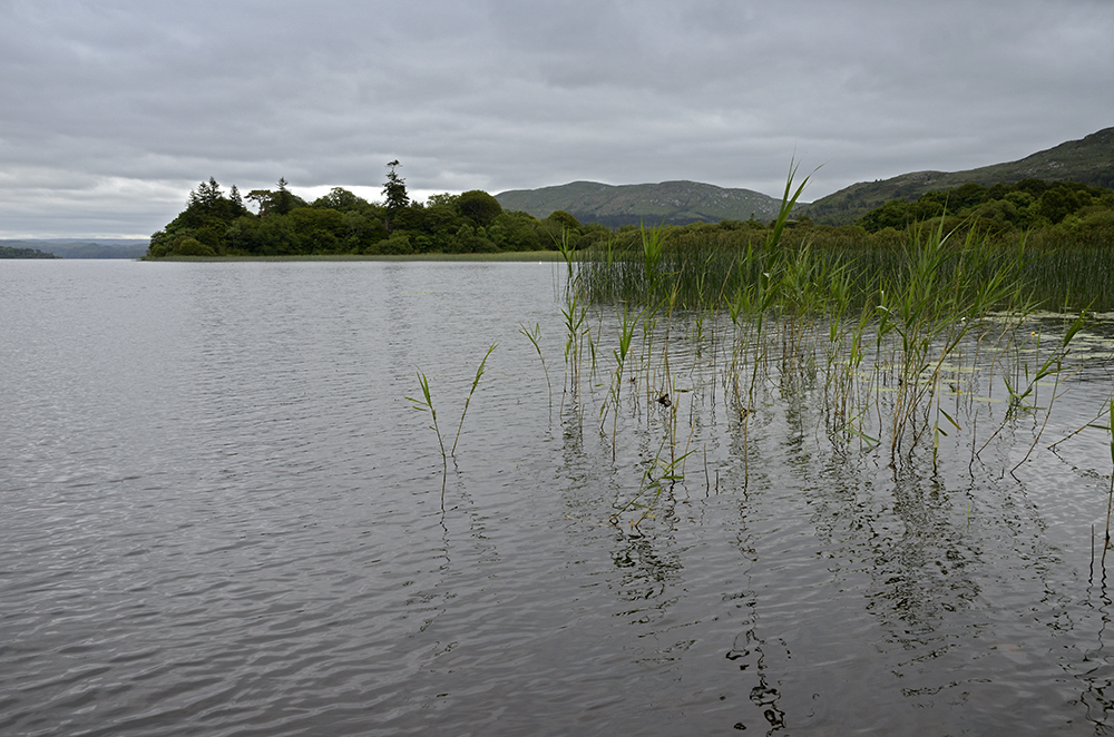 Lough Gill - vt formt