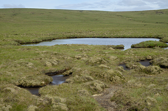 Lakelet - smaller format