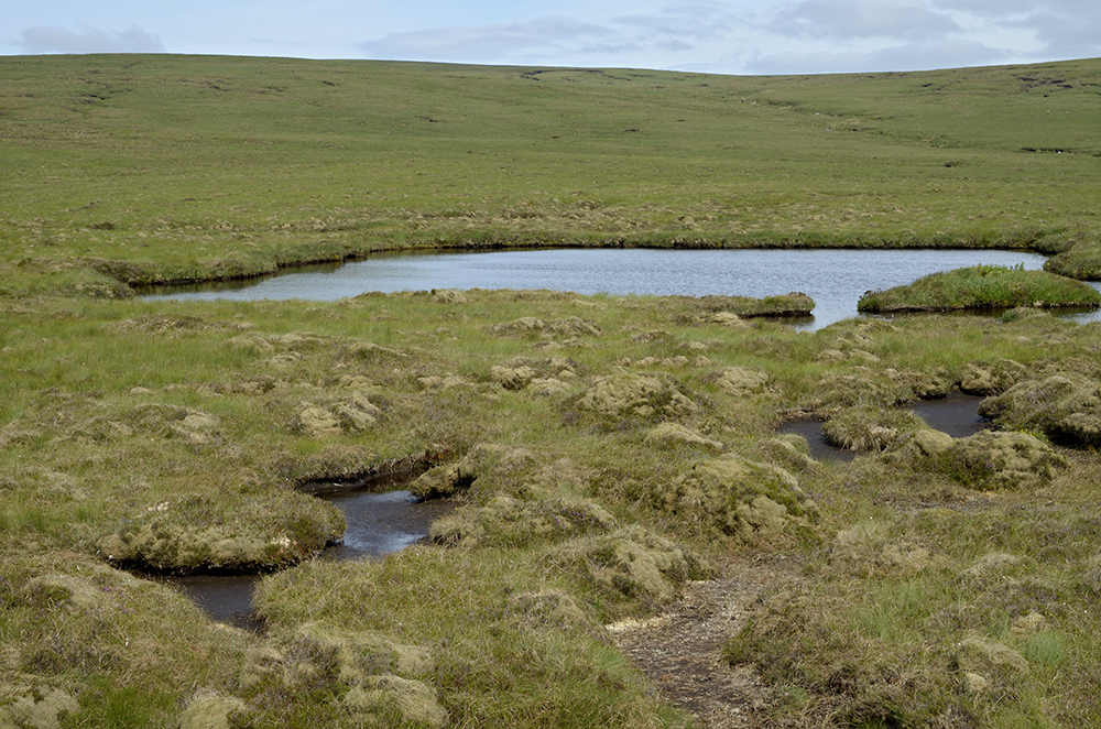 Lakelet - larger format