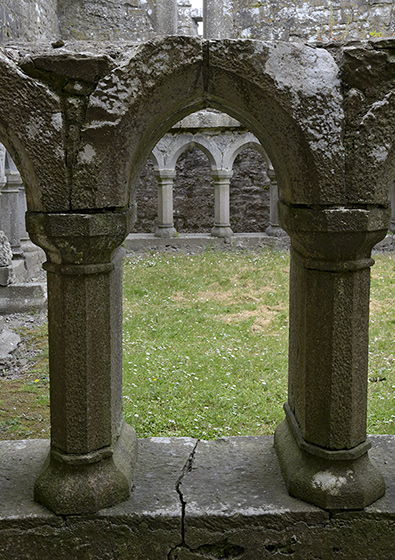 Ross Errilly Friary - men formt