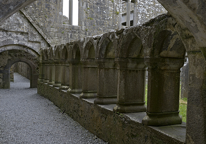 Ross Errilly Friary - men formt