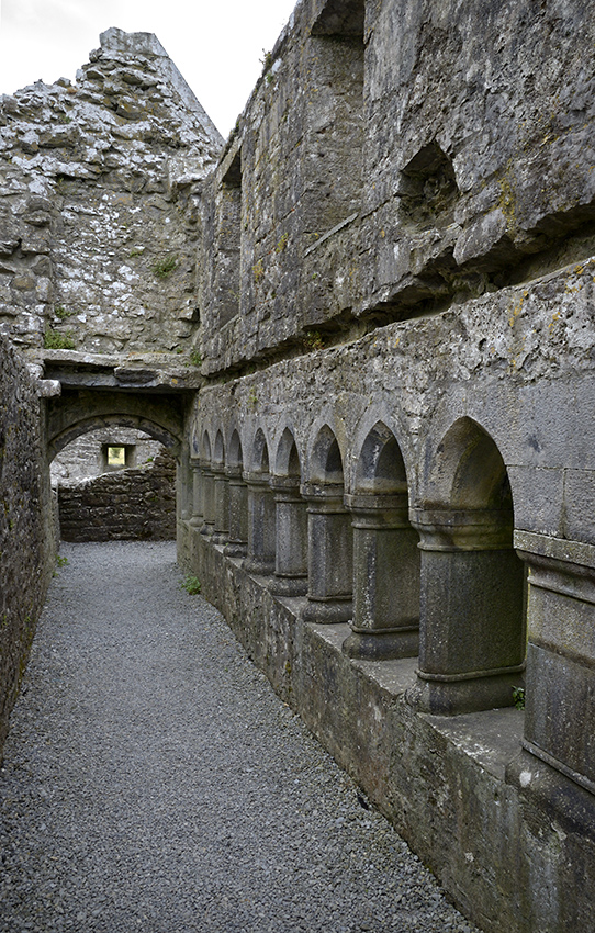 Ross Errilly Friary - vt formt