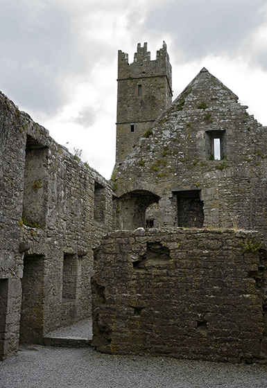 Ross Errilly Friary - men formt