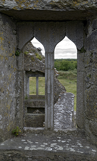 Ross Errilly Friary - men formt