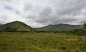 Bog - main link