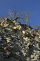In the quarry - main link