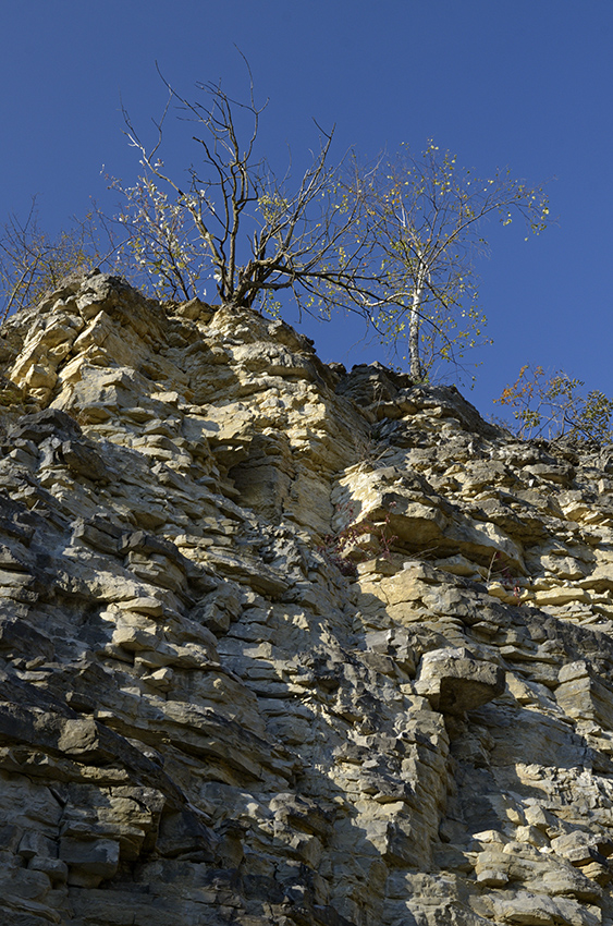In the quarry - larger format