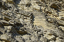 Layers - main link