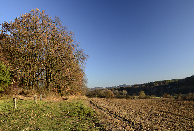 On the "Old Goose Path" - smaller format