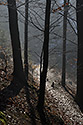On descent - main link