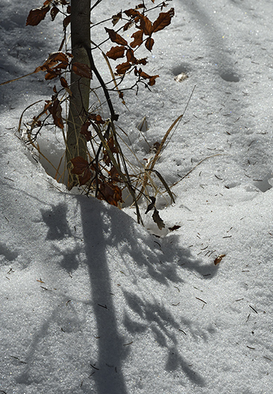 On snow - smaller format