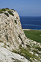 Table edge - main link