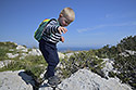 Cautious walking - main link