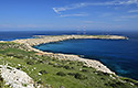 Sticks - main link
