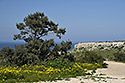 On the table mountain - main link