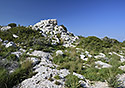 On the table mountain - main link
