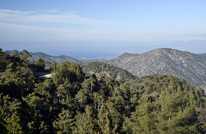 Face of Troodos - smaller format