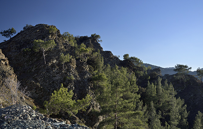 Face of Troodos - smaller format