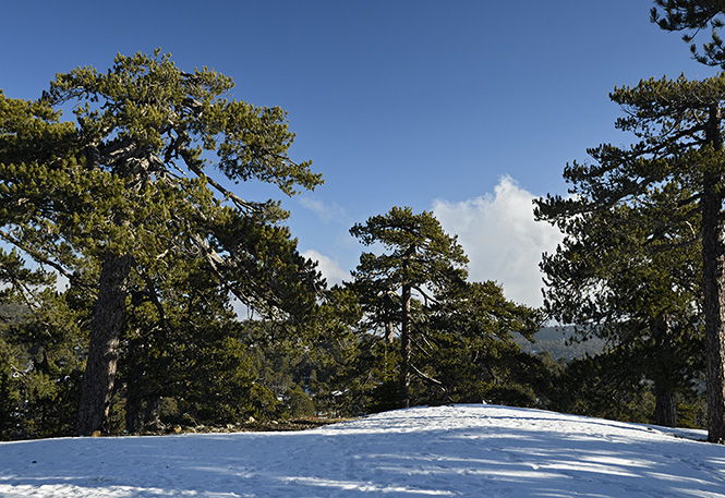 Around Olympos - smaller format