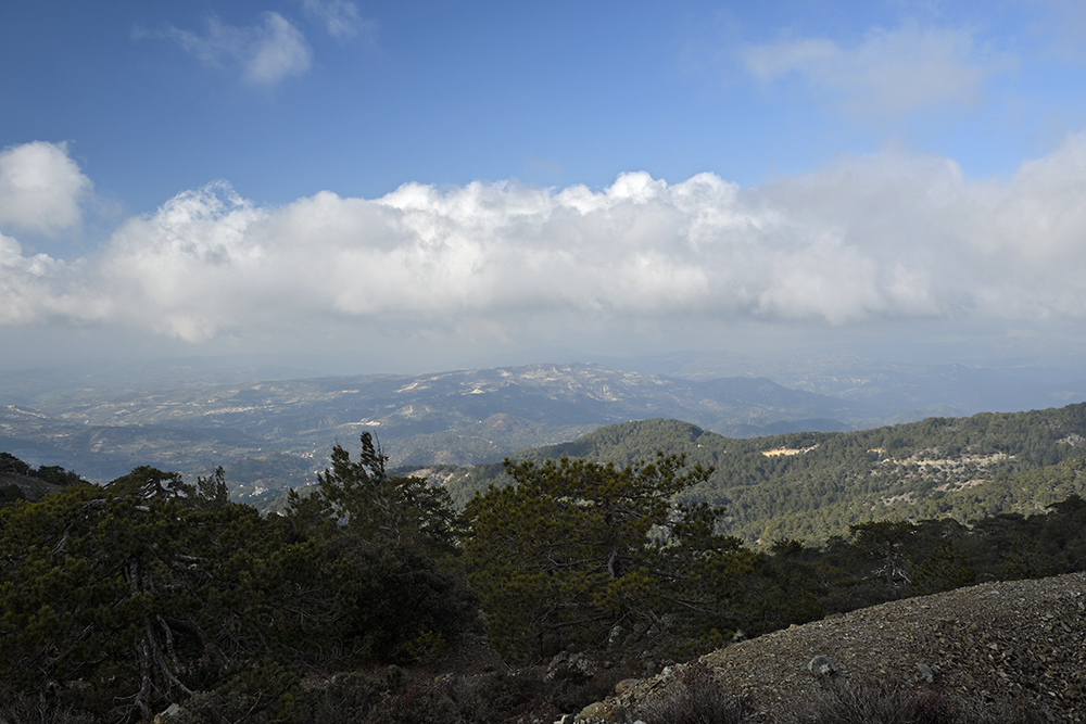 View to south - larger format
