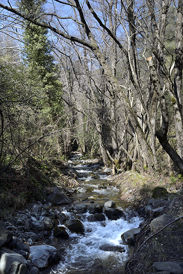 Kalidonia creek - smaller format