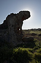 Snake mouth - main link