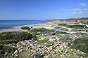 Creek estuary - main link