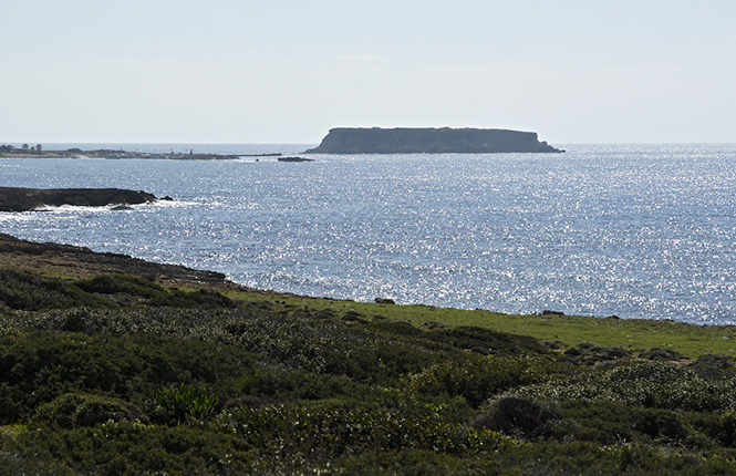 Islet - smaller format