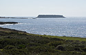 Islet - main link