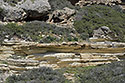 Layers - main link