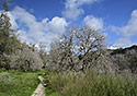 Path to the gorge - main link