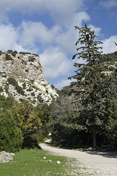 Path to the gorge - smaller format