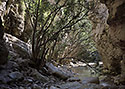 In the gorge - main link