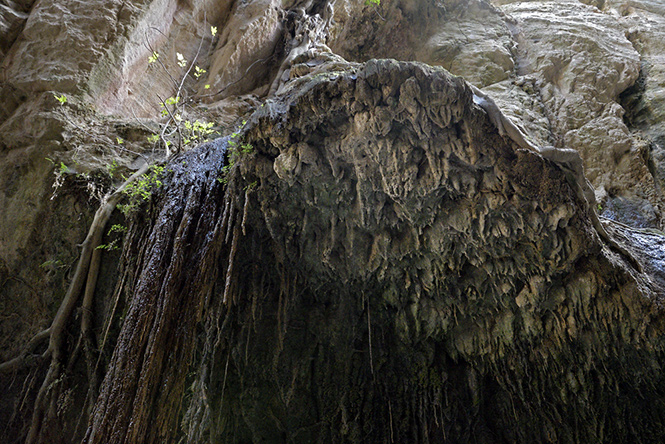 Canopy - smaller format