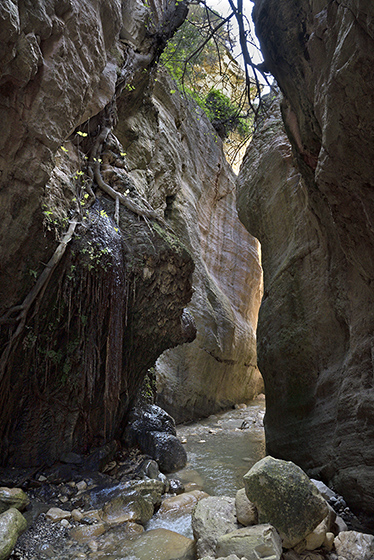 In the gorge - smaller format