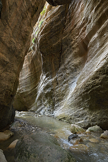 In the gorge - smaller format