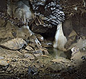 In the "Roztoka" dome - main link